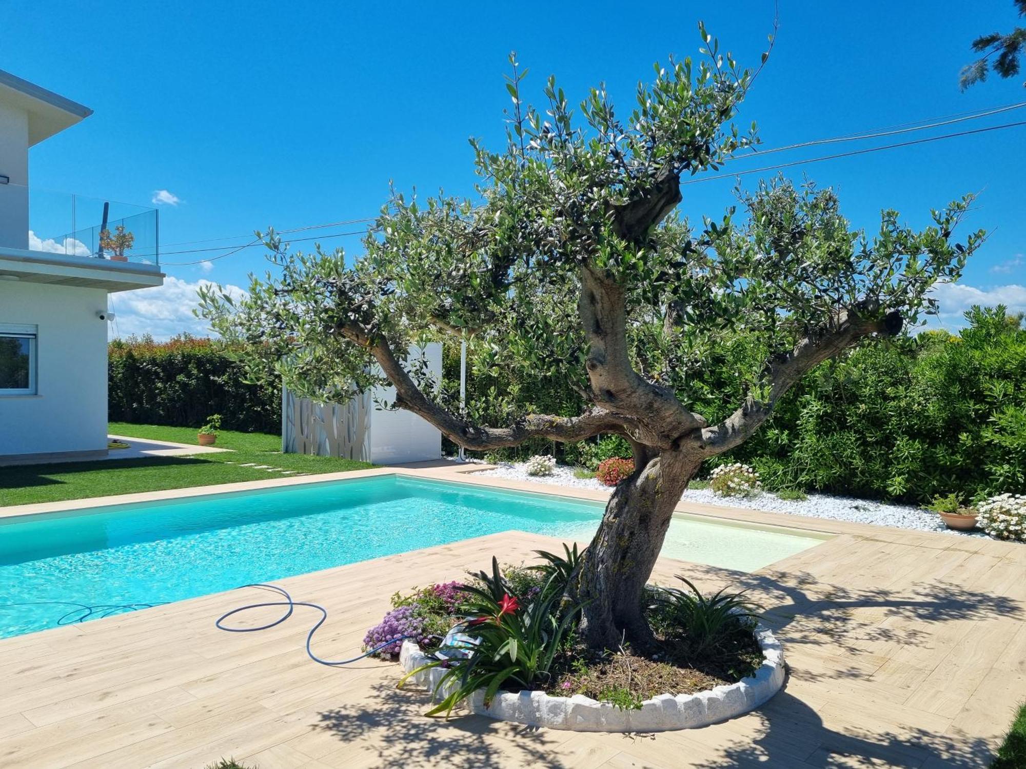 Carezza Del Mare Villa Torino di Sangro Eksteriør bilde